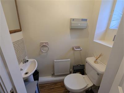 Picture 11